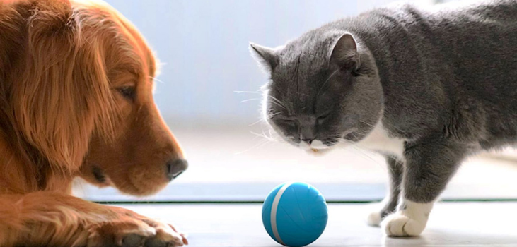 peppy pet ball cat and dog